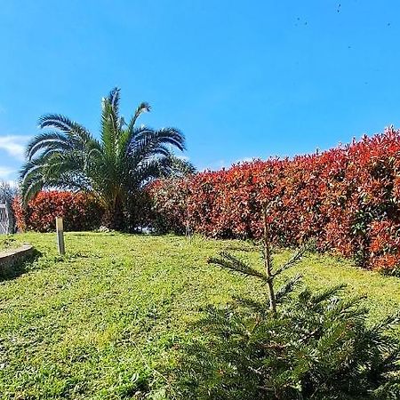 La Bella Addormentata Bed & Breakfast Chieti Luaran gambar