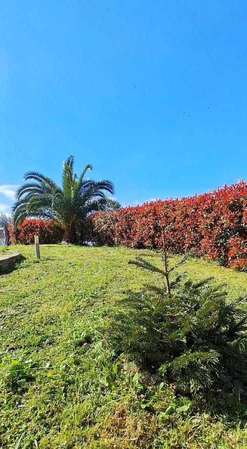 La Bella Addormentata Bed & Breakfast Chieti Luaran gambar